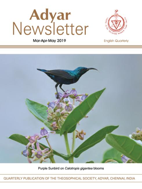 Adyar Newsletter May 2019 Cover Image
