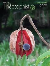 Theosophist Cover Volume 139 No 06 Mar 2018